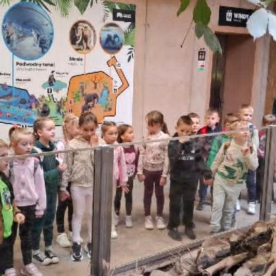 Zoo 5