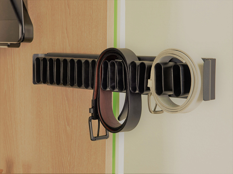 Вешалка для галстуков и ремней Конеро, 450мм, D 475 мм, выдвижная, шампань, Kessebohmer