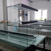 Custom-sized terrariums