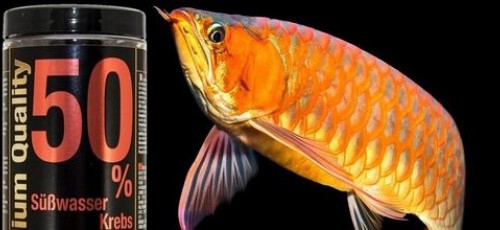 Granules, flakes, pellets, tablets, artemia