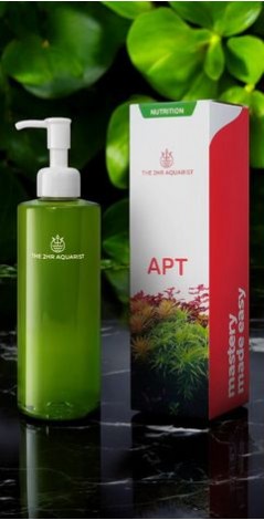 stylish home aquarium