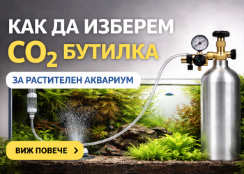 Как да изберем CO₂ бутилка за растителен аквариум