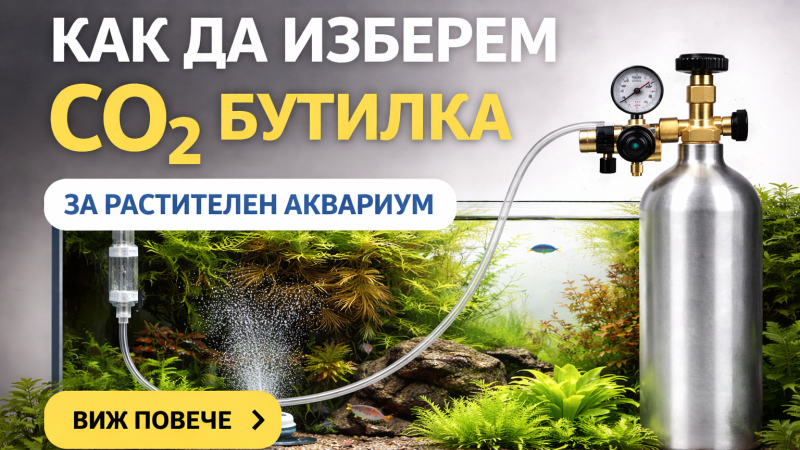 Как да изберем CO₂ бутилка за растителен аквариум
