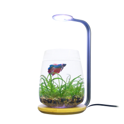 Lighting for Nano Aquariums