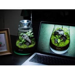 LEDSTAR DOT 2 – Компактен и елегантен Нано сет