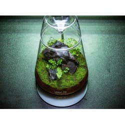 LEDSTAR DOT 2 – Компактен и елегантен Нано сет