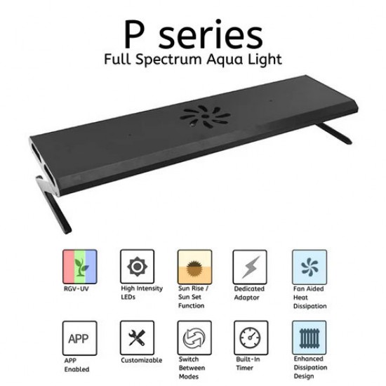 WEEK AQUA P Серия - 90см