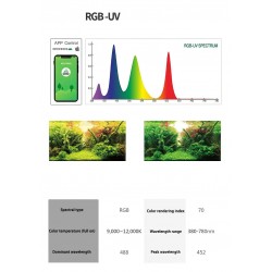 WEEK AQUA P Серия - 90см