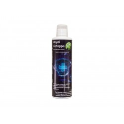 Royal Catappa – течен екстракт от катапа