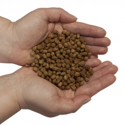 Freshwater Crab XL Granulate Soft 