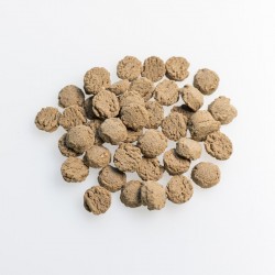 Gold Pleco Tablets Brown - таблетки за месоядни