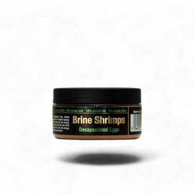 Brine Shrimps Decapsulated Eggs