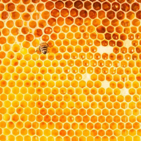 Холстик для улья 12