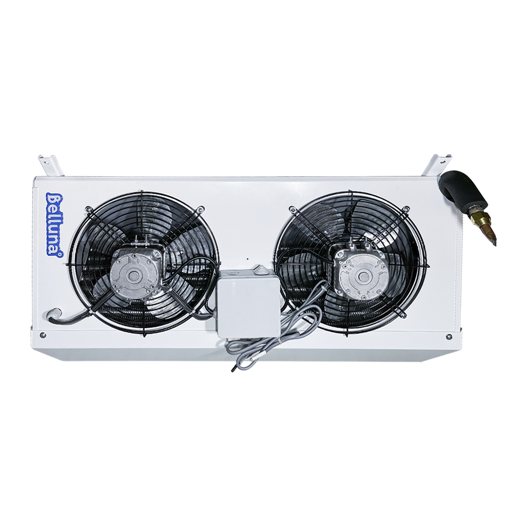 Belluna Frost P103