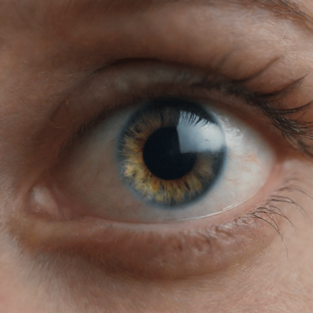 Создать семантическое ядро для сайта онлайн