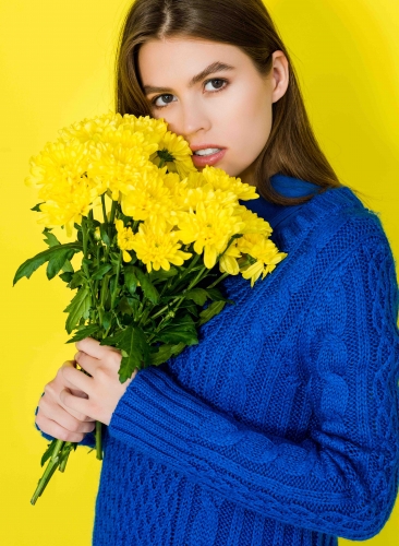 Хризантемы оптом