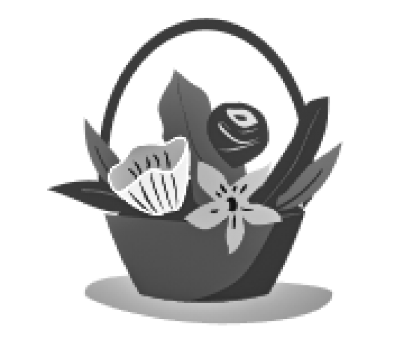 Корзина цветов Кишинев