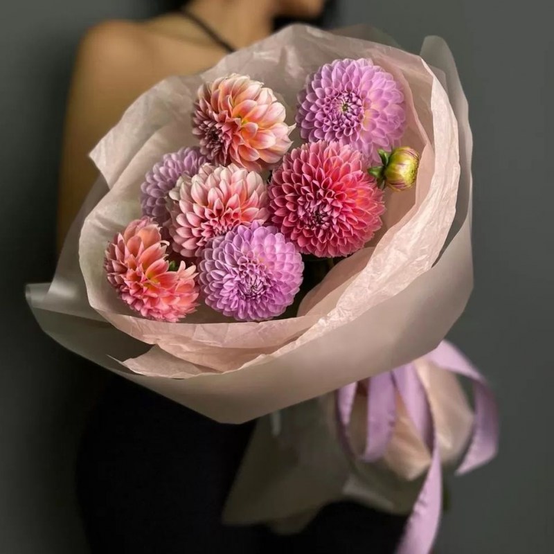 Георгины Молдова