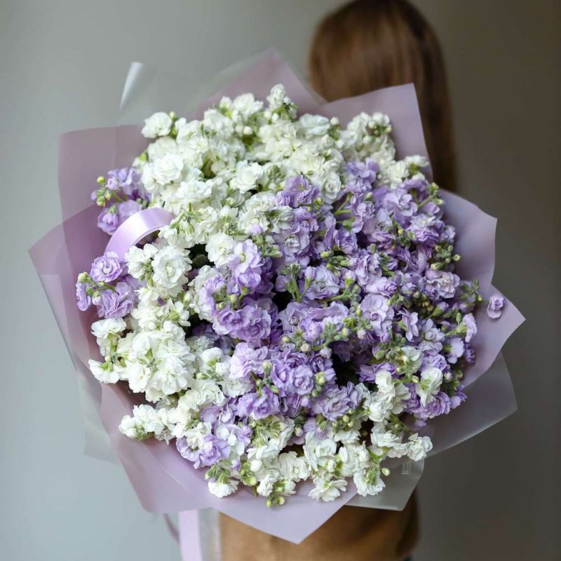 2-06fcd549fe0bf739f84a6a731c315111