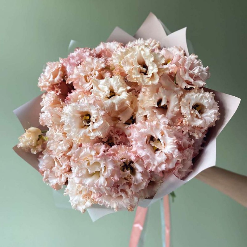 2-1c1124ca9b241fb912f2911daffc6aef