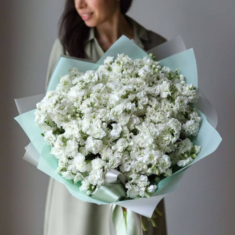 Белая маттиола в Кишиневе