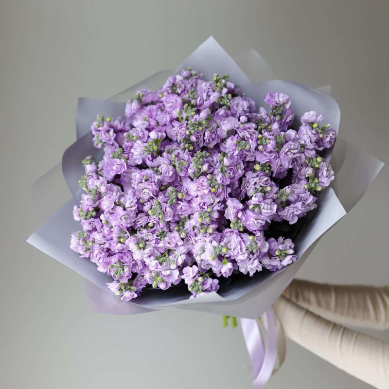 2-2c420141e93214cc5171f109db683267