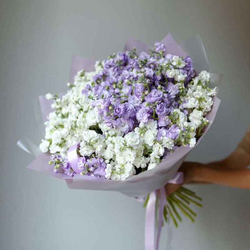 2-74f41b2e905a1f03549943dac2c65c46