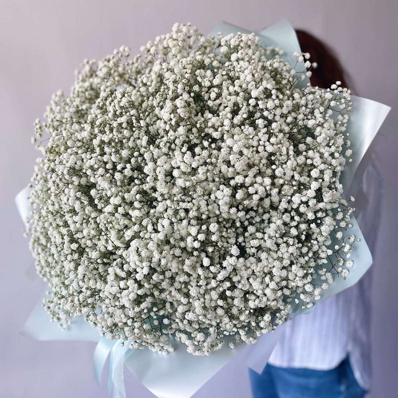 Гипсофила в Кишиневе