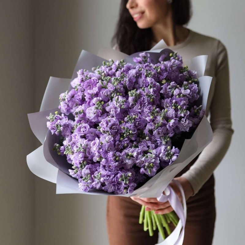 Сиреневая маттиола Кишинев