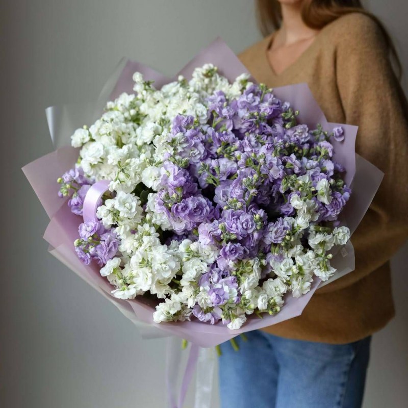 Маттиола Молдова