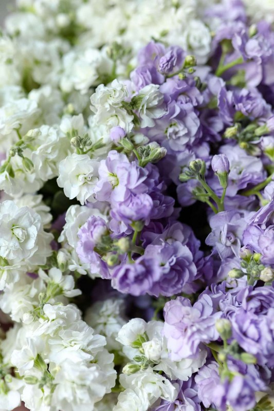 2-cee3515a60679dc878960bd518f6c6c3