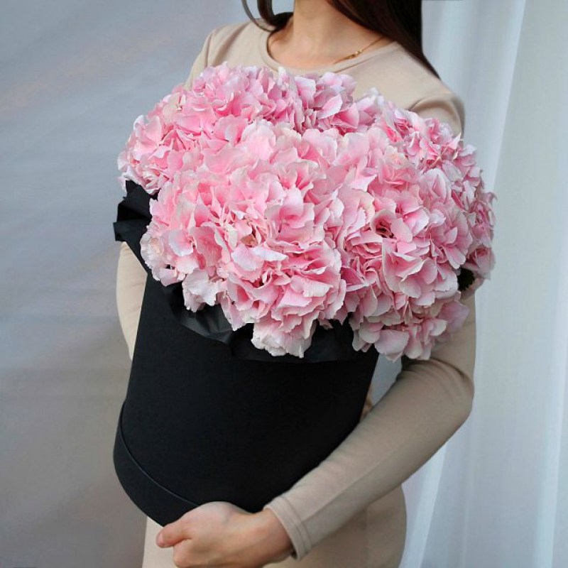 Гортензии в коробке Кишинев