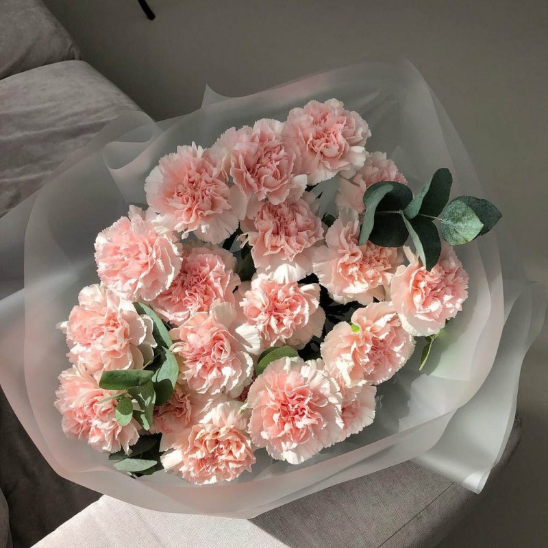 Диантусы в Кишиневе