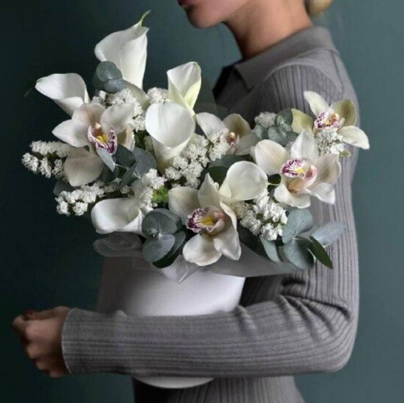 Нет заданного изображения 