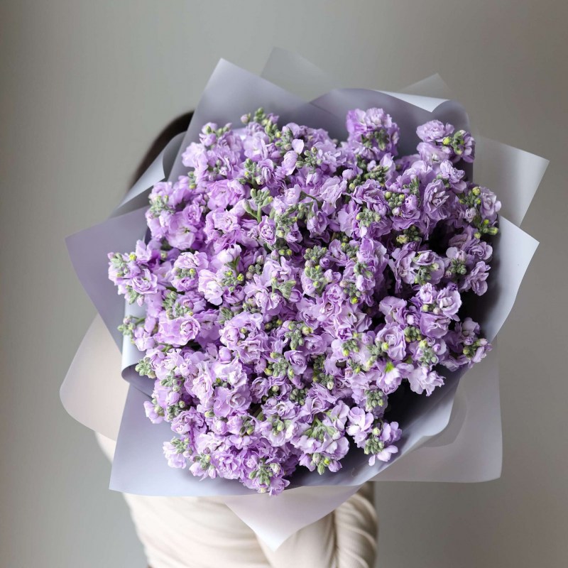 3-06c3f310d4646d96a67d647bc7256b6e