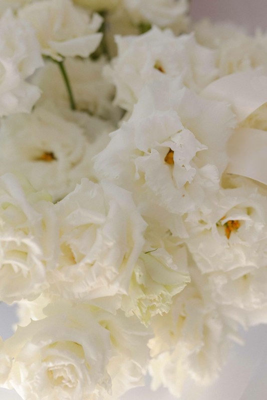 3-c12e59d5730c369a783fc7f76373b280