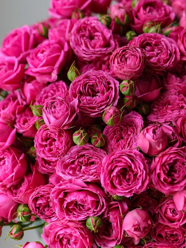 3-e7ca5af5130d7a355d491e4886369f53