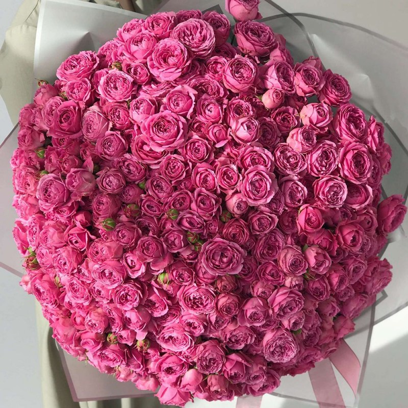 Мисти Бабблз Кишинев