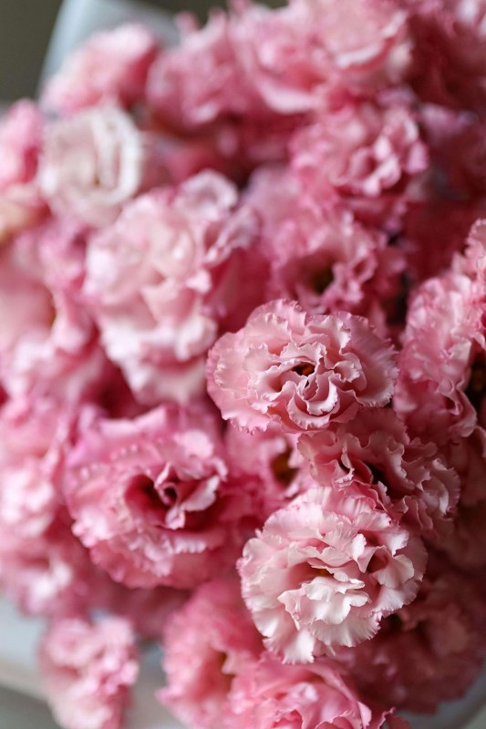 3-f9751713b5380dd32df549bad3815f03