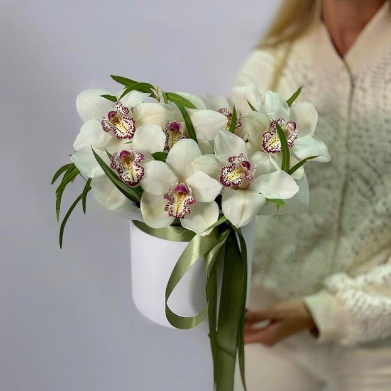 Орхидеи в Кишиневе