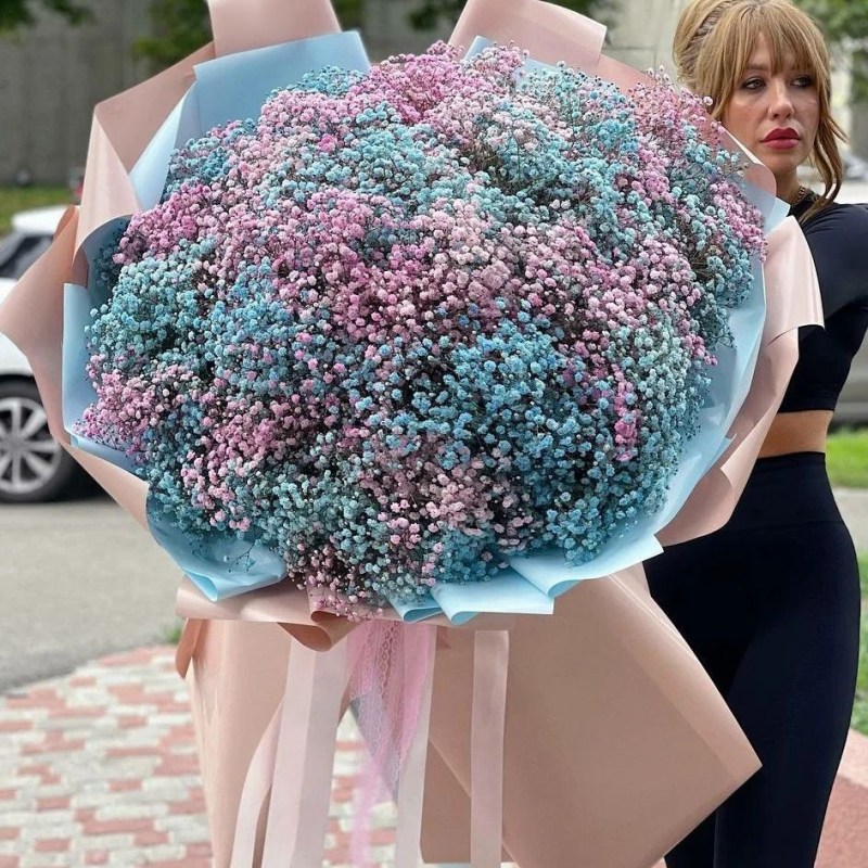 Гипсофила радужная в Кишиневе