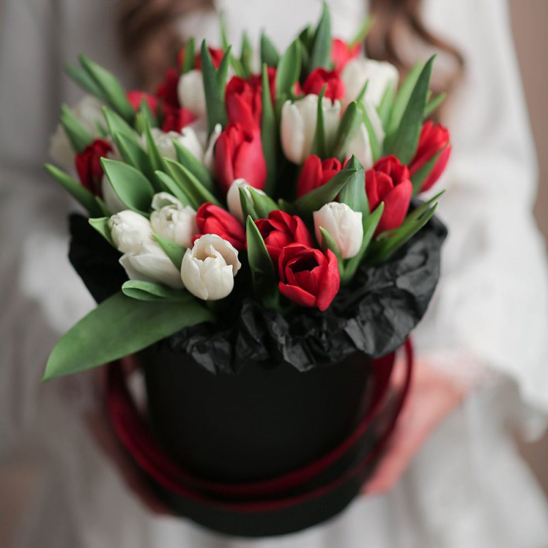 Тюльпаны в Молдове