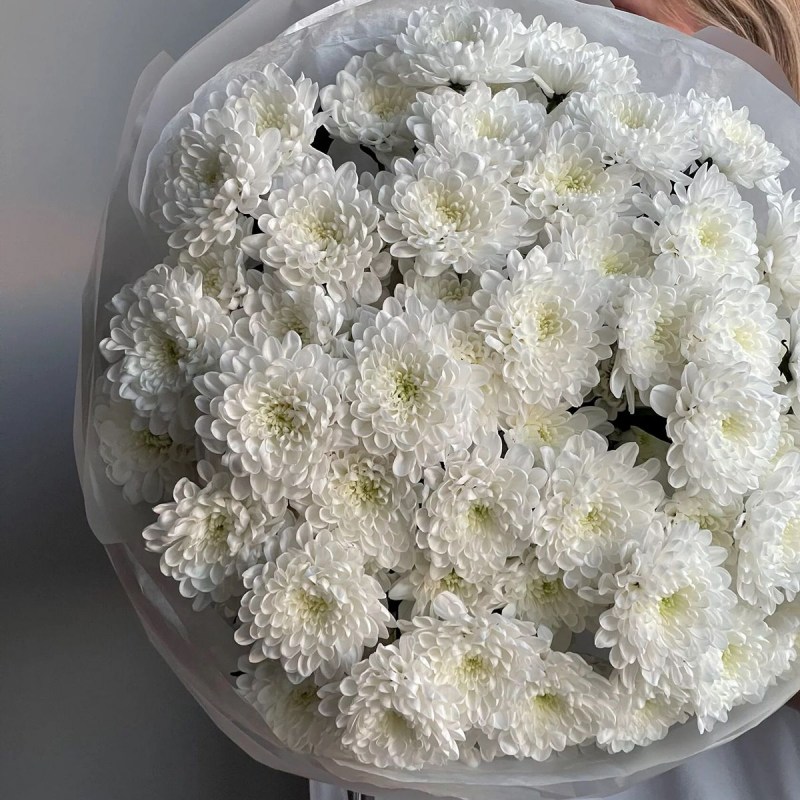 Нет заданного изображения 