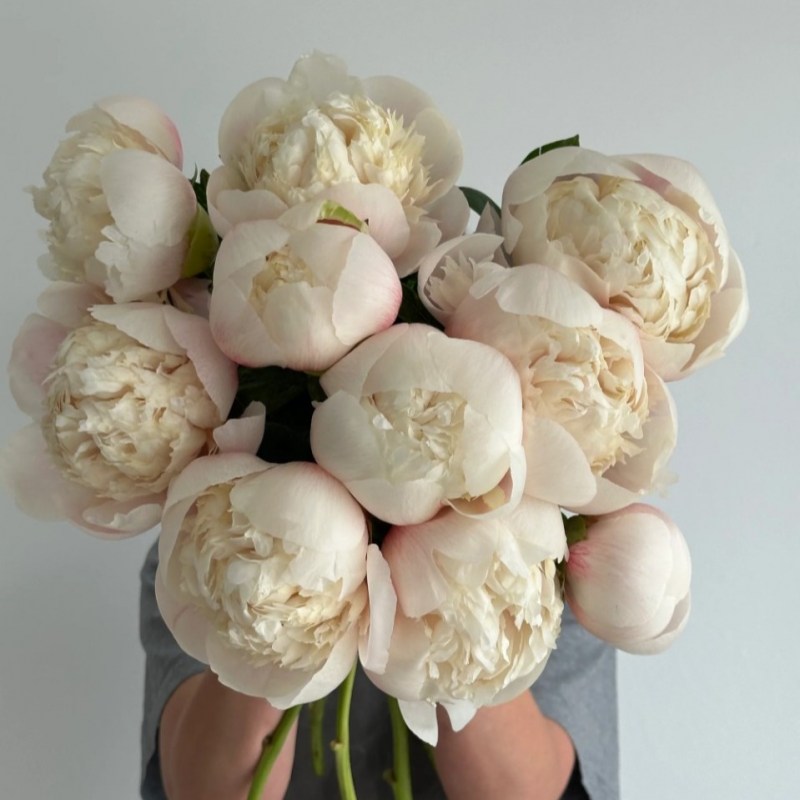 Нет заданного изображения 