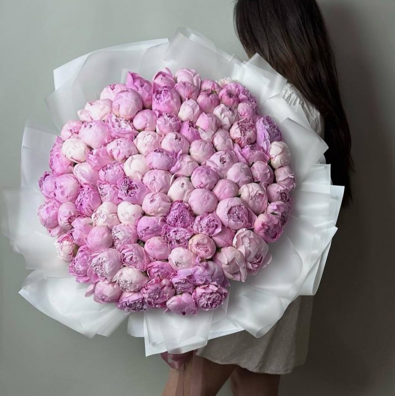 Нет заданного изображения 