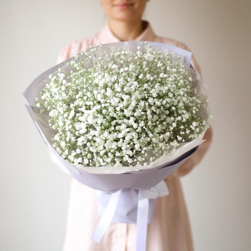 Гипсофила Кишинев