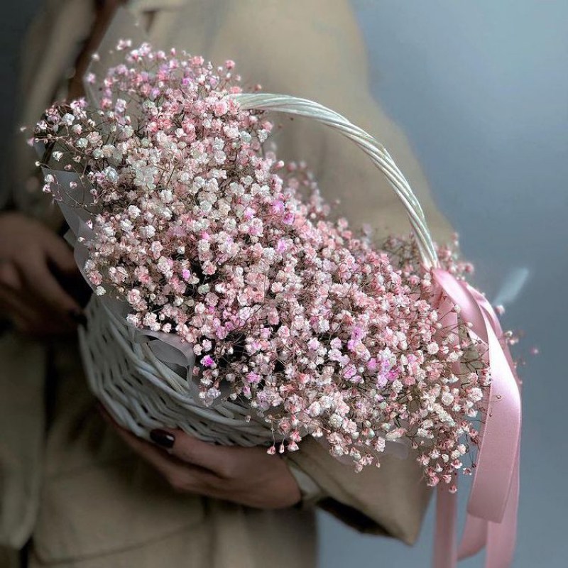 Розовая гипсофила в Молдове