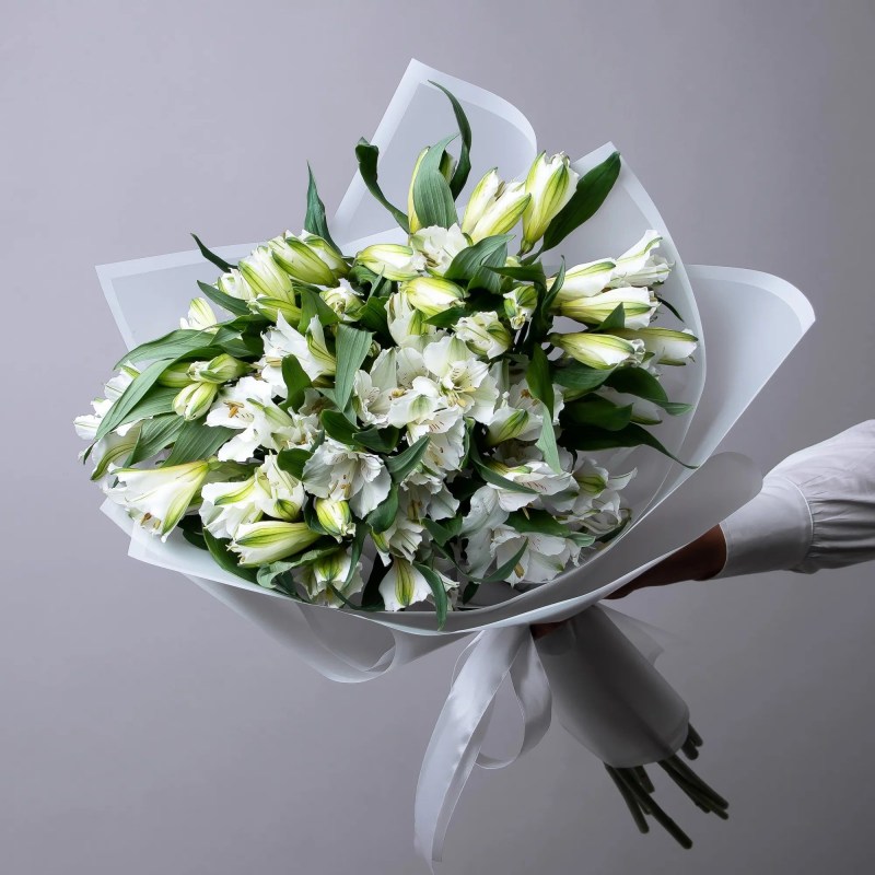 Альстромерия Кишинев