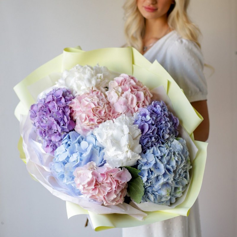 Гортензии в Молдове