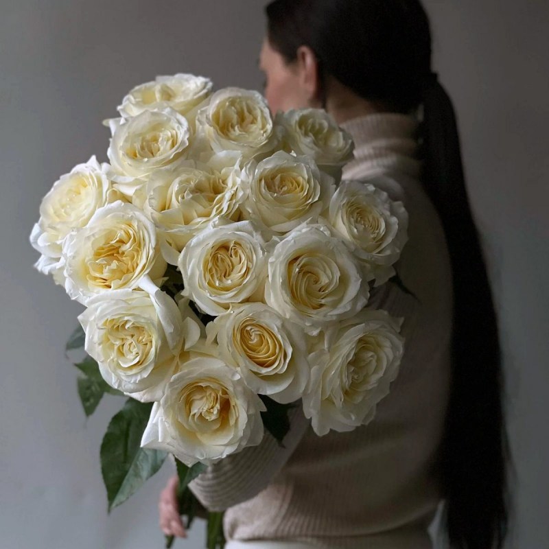 Эквадорская пионовидная роза Кишинев